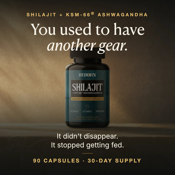 Shilajit +KSM-66® Ashwagandha Capsules