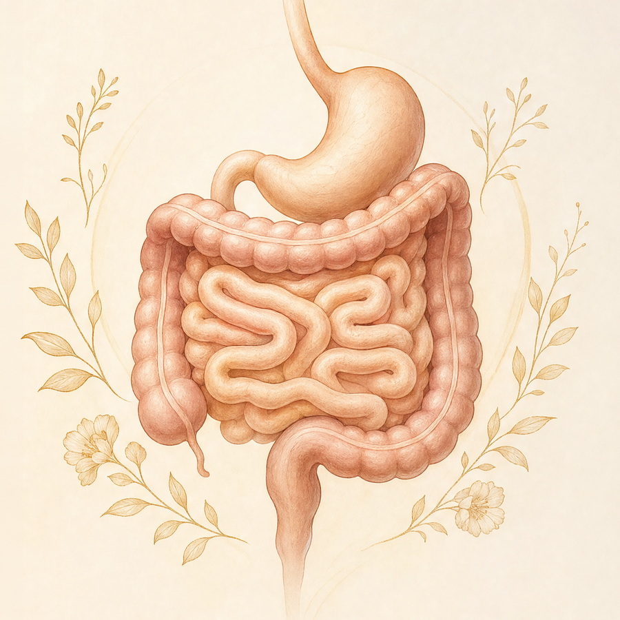 YOUR GUT TAKES A BEATING EVERY DAY